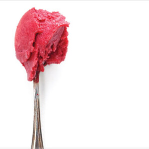 Fruit and Sour Beer Sorbet