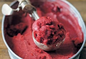 An ice cream scoop with a scoop of easy fruit sorbet resting on top of a container of sorbet.