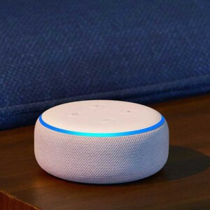 White and blue Echo Dot.