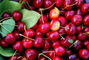 Cherry Picking Season