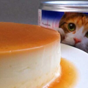 Flan in a Can