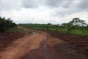 Nigerian Road