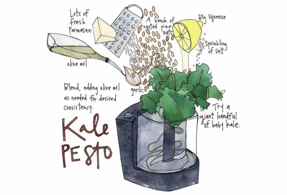 An illustration of kale pesto ingredients being added to a food processor