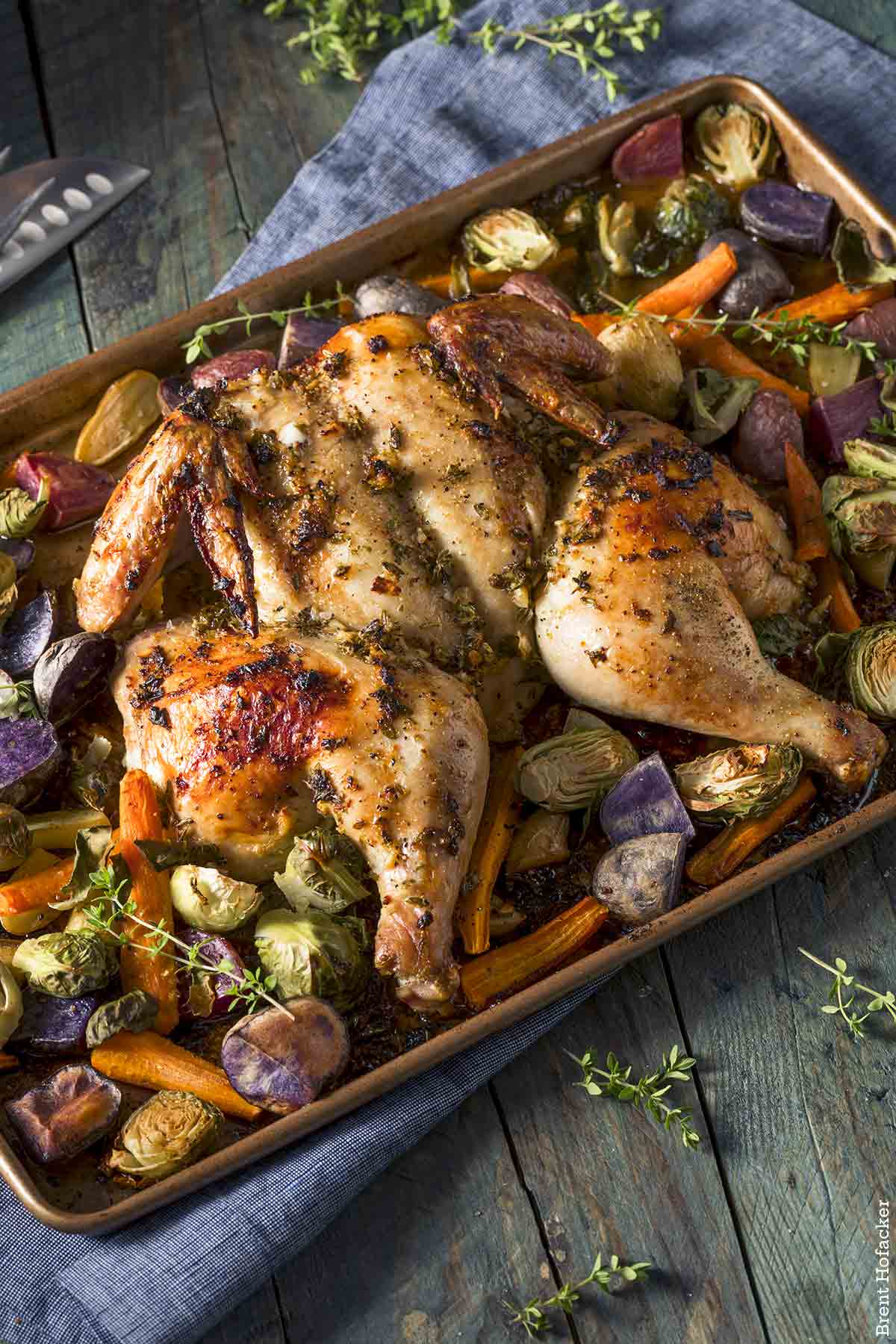 A whole spatchcocked chicken on a roasting pan, surrounded by vegetables.