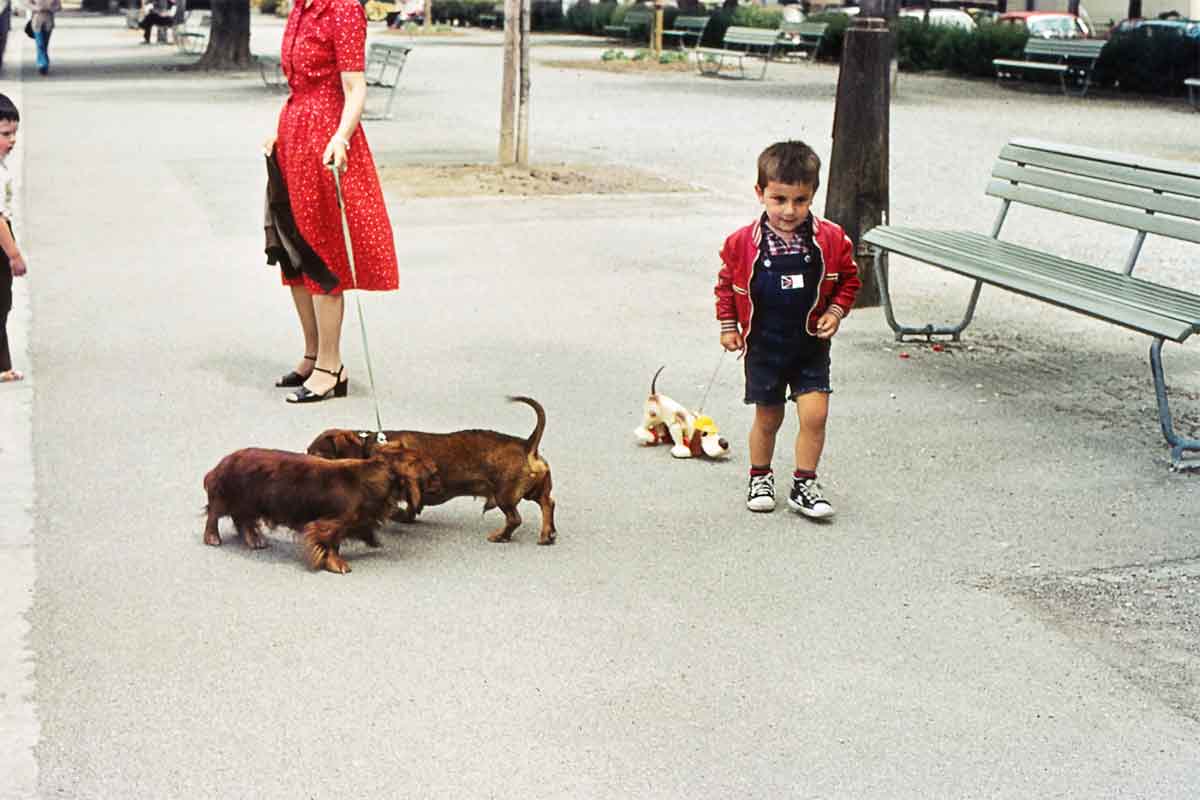 An image of Cenk Sönmezsoy as a child walking wa toy puppy with two dogs beside him.