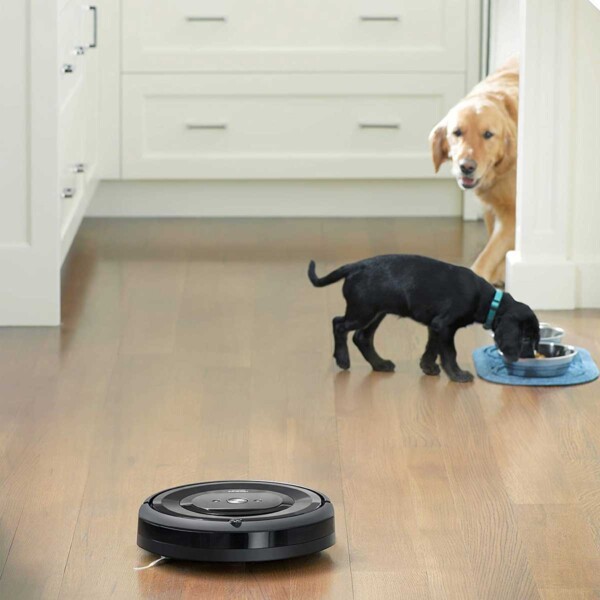 Roomba Robot Vacuum with dogs