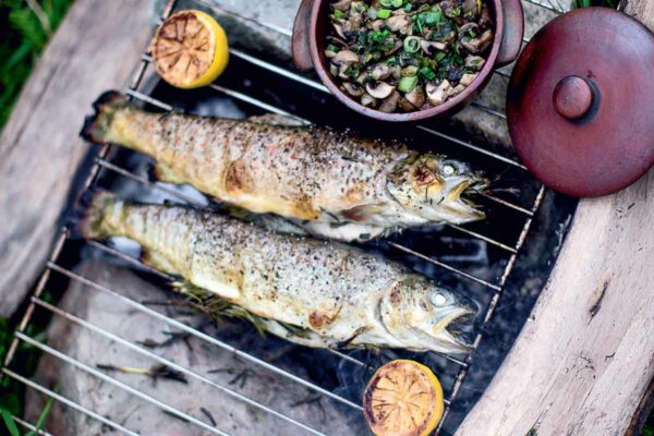 Two whole grilled trout on a grate over an ope fire with a dish of mushrooms and two grilled lemon halves on the side.