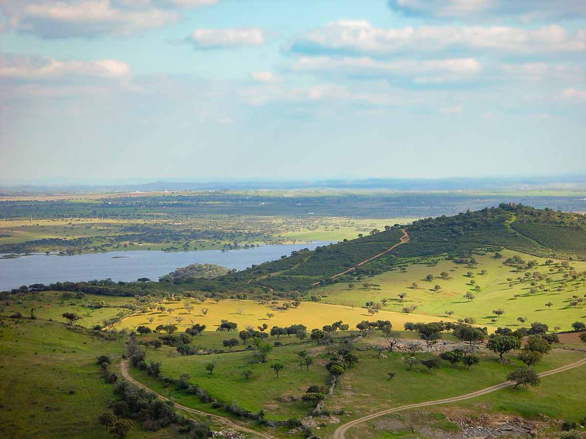 A panoramic view of Reguengos de Monsaraz